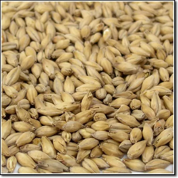 Crisp Pale Ale Malt