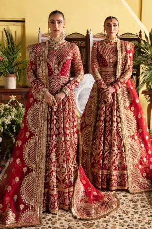 Dastaan Bridal 2023 by Imrozia Premium | IB-38 Rubay