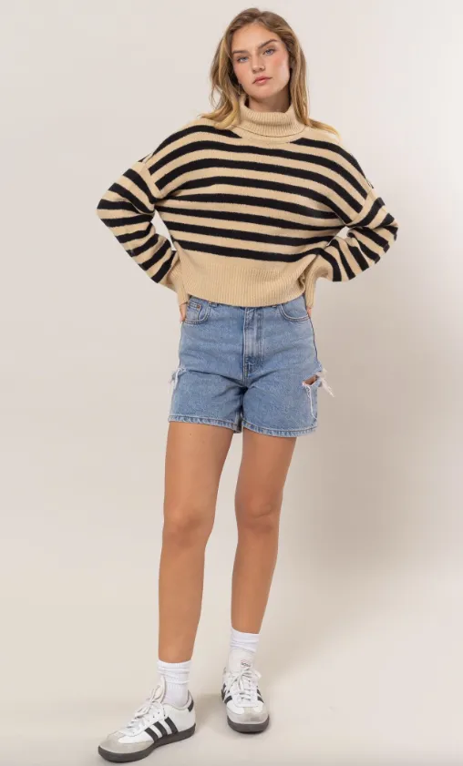 Joyce Striped Turtleneck Sweater