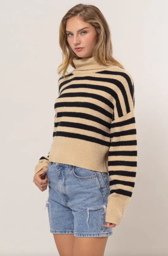 Joyce Striped Turtleneck Sweater