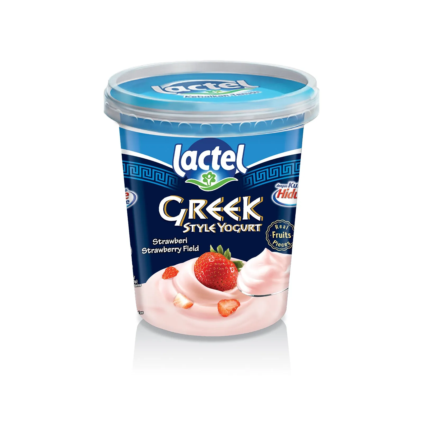 Lactel Greek Style Strawberry Field Yogurt 470g